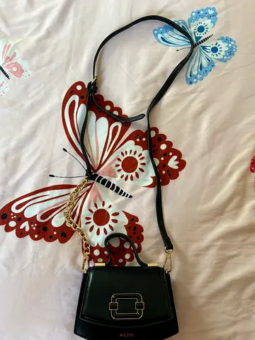 Aldo black bag
