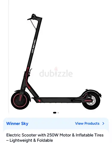 Scooter electric