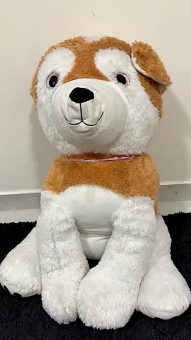 Free Teddy Bear
