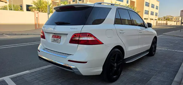 2014 Mercedes-BENZ M-CLASS 照片 4