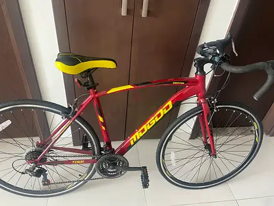 Mogoo Road Bike