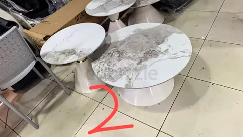 Elegant Modern Coffee Tables Set
