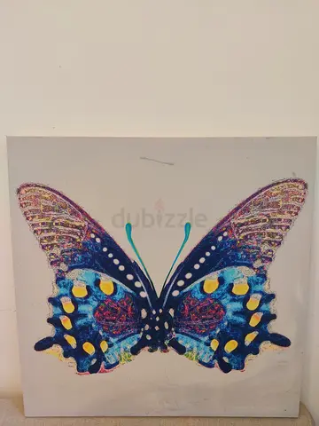 Butterfly picture