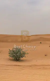 Residential Land for Sale in Blida - Best price
