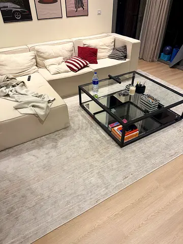 Light grey large area rug - modern, in excellent condition; 250x350