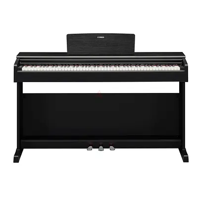 Yamaha Arius YDP-161 Digital Piano | Sleek Matte Black Finish
