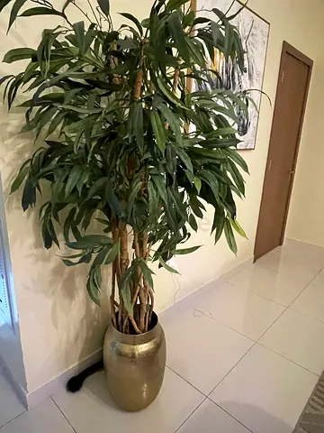 نبتة صناعية
