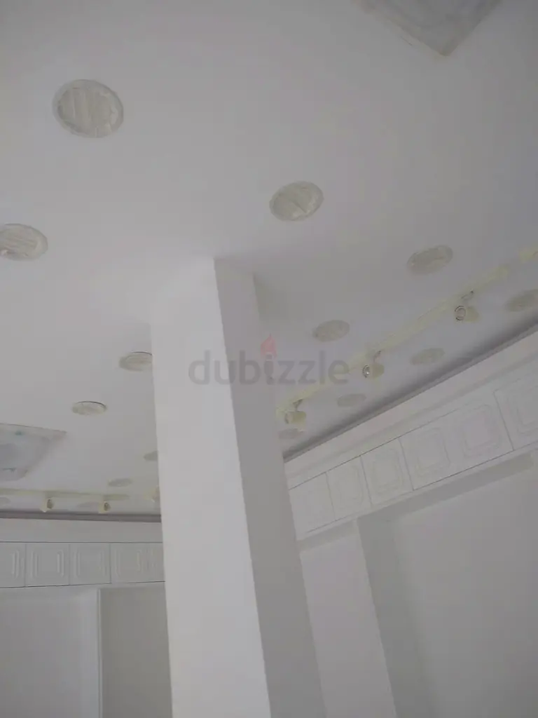 DPV_View_Image_1