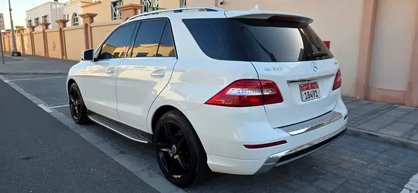 2014 Mercedes-BENZ M-CLASS 照片 6