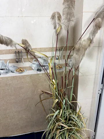 Decorative Tall Faux Pampas Grass Stems