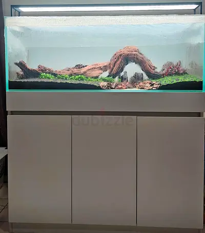 120CM planted aquarium with cabinet