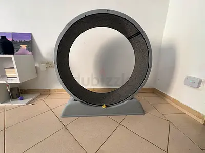 Large Cat Exercise Wheel — Good Condition