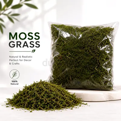 200g Real Dried Moss Grass