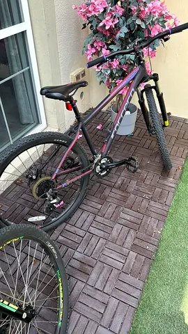 Female adult bike for sale