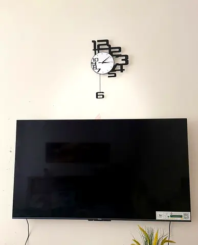 Television