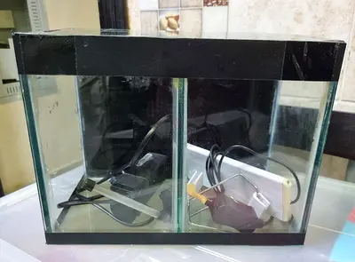 12" x 6" inch Dual Compartment Betta Glass Fish Tank with LED Light & Filter