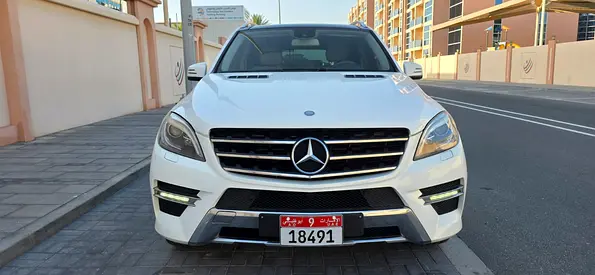 2014 Mercedes-BENZ M-CLASS 照片 2