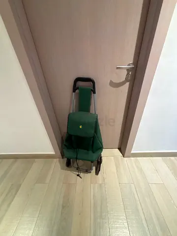 Foldable Shopping Trolley