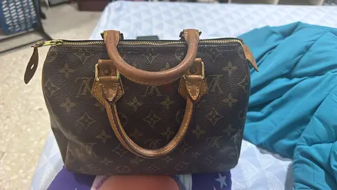 Lv speedy bag