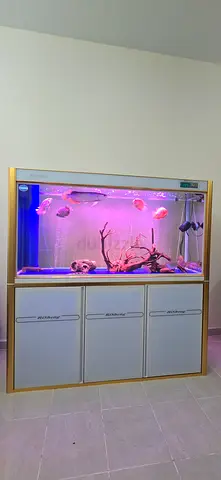150cm Aquarium with Sump Filtration