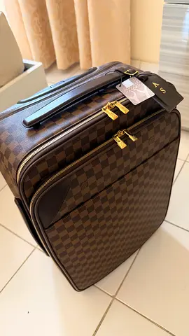 louis vuitton damier ebene pégase 55 suitcase