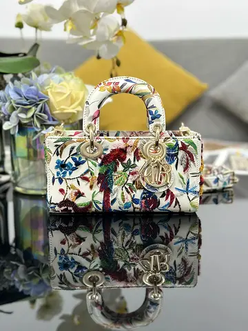 Christian Dior Lady D-Joy small women's bag