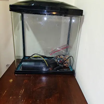 Small glass fish aquarium tank with filter and hood
