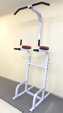 Pull-Up & Exercise Station + Exercise Balls