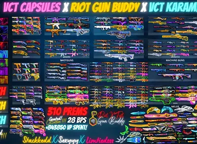 VALORANT STACKED ACCOUNT ALL CHAMPIONS, RIOT GUN BUDDY