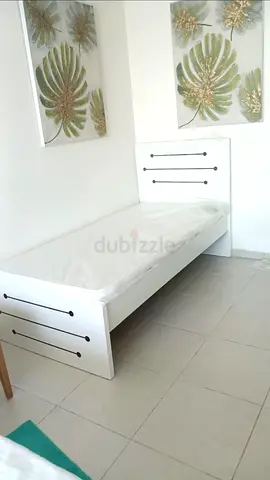 Single white wooden bed with headboard and mattress - brand new