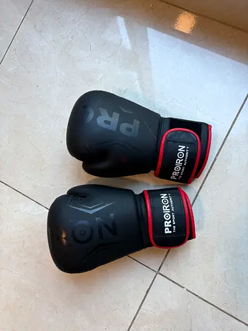 Punishing bag and Pair of Proiron boxing gloves - used, good condition, black/red, 12oz