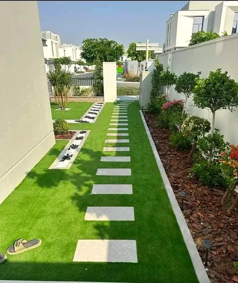 DPV_View_Image_2