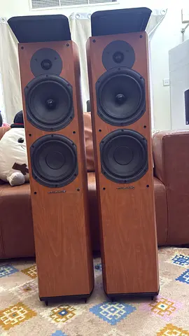 Wharpedel diamond 9.5 tower speakers