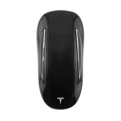 MODEL X KEYS (2 FOBS)