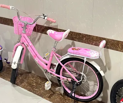 Premium Two-Seater Bicycle – Comfortable & Fun to Ride