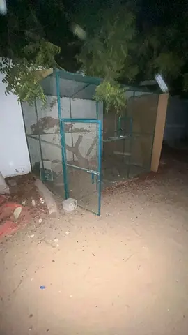 Large outdoor metal bird aviary cage