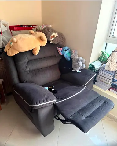 Recliner in excellent condition