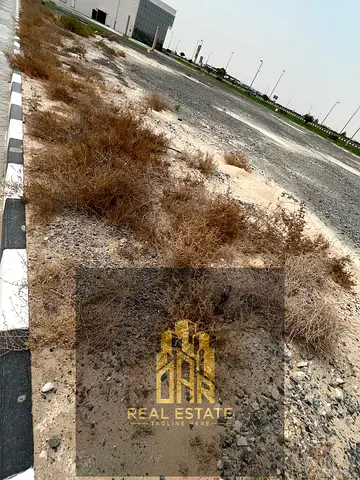 Al Tai West – Sharjah