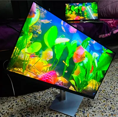 2024 Years Model 2K Dell 24inc QHD LED Monitor With HDMI + Hidrolic Stand Model No P2423D