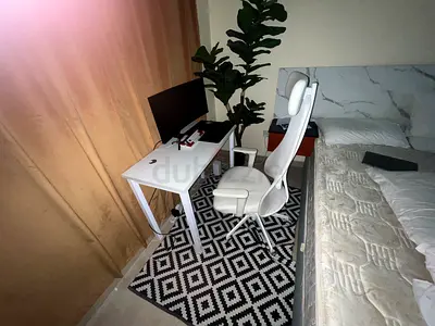Imported Ergonomic chair and desk | perfect for small studio