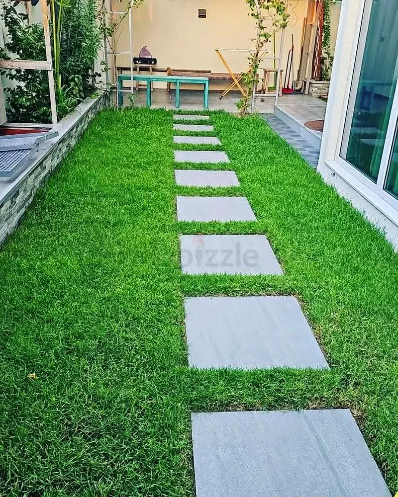 DPV_View_Image_4