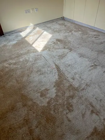 Light beige plush carpet — good condition
