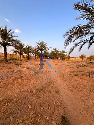 Productive Farm for Sale in Remah Al Ain Prime Investment Opportunity