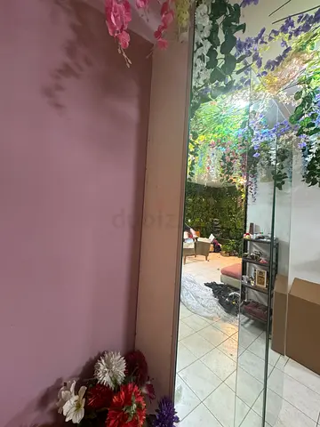 Full-length Shoe Cupboard with Full Mirror (Used)