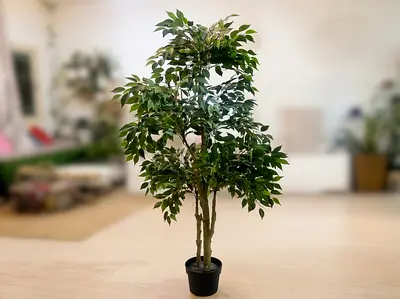 Artificial Ficus Tree in Pot — 170 cm