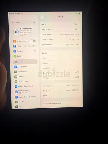 Ipadmini5