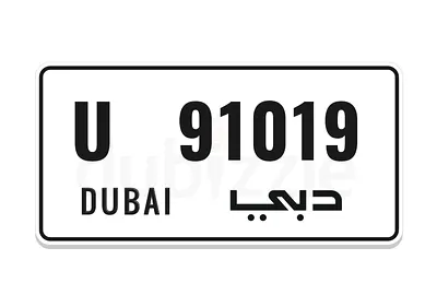 U 91019
