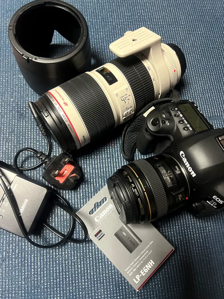 gallery-image