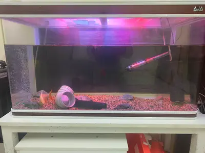 Aquarium For Sale 1.20m including.light,filter,airpumb.