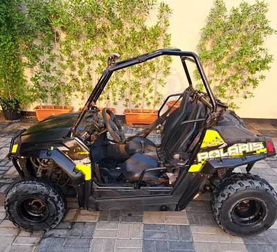 Polaris for sale